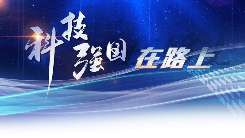 SaaS平台用户隐私保护：方法与策略详解